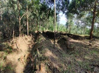 Agricultural Land for Sale in Pathanamthitta, Adoor, Adoor, Nicola Tesla School