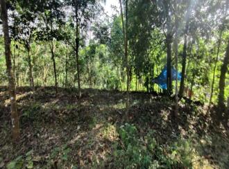 Agricultural Land for Sale in Pathanamthitta, Adoor, Adoor, Nicola Tesla School