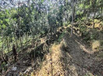 Agricultural Land for Sale in Pathanamthitta, Adoor, Adoor, Nicola Tesla School