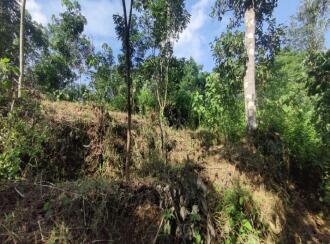 Agricultural Land for Sale in Pathanamthitta, Adoor, Adoor, Nicola Tesla School