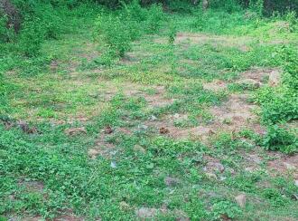 Residential Land for Sale in Pathanamthitta, Ranni, Plankamon, Plankamon