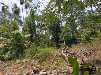 Residential Land for Sale in Thrissur, Irinjalakuda, Vellangallur