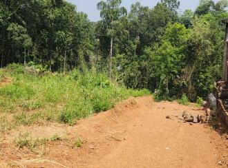Residential Land for Sale in Pathanamthitta, Mallappally, Puthussery, Near M.G.D High School