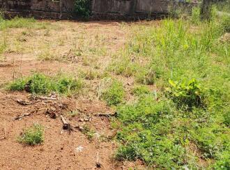 Residential Land for Sale in Pathanamthitta, Mallappally, Puthussery, Near M.G.D High School