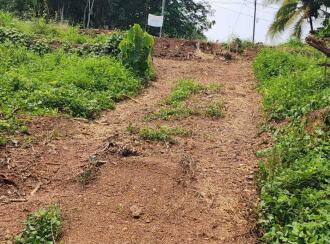 Residential Land for Sale in Pathanamthitta, Mallappally, Puthussery, Near M.G.D High School