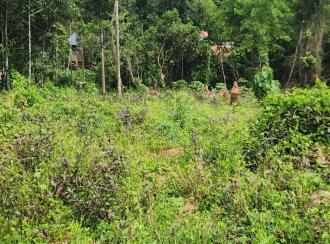 Residential Land for Sale in Pathanamthitta, Mallappally, Puthussery, Near M.G.D High School