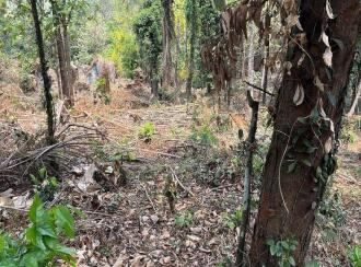 Residential Land for Sale in Malappuram, Malappuram, Munduparamba, Cherattukuzhy rd 11°03'07.6"N 76°05'09.7"E