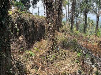 Residential Land for Sale in Malappuram, Malappuram, Munduparamba, Cherattukuzhy rd 11°03'07.6"N 76°05'09.7"E