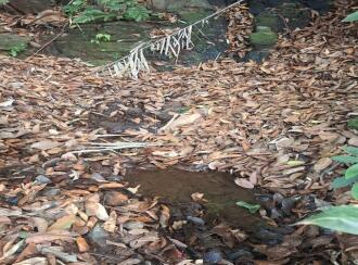 Commercial Land for Sale in Kannur, Thaliparamba, Thaliparamba, Paithalmala