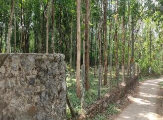Residential Land for Sale in Palakkad, Cherpulassery, Sreekrishnapuram, Kattukulam Kattukulam Higher Secondary Schoel