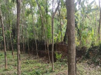 Residential Land for Sale in Palakkad, Cherpulassery, Sreekrishnapuram, Kattukulam Kattukulam Higher Secondary Schoel