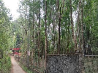 Residential Land for Sale in Palakkad, Cherpulassery, Sreekrishnapuram, Kattukulam Kattukulam Higher Secondary Schoel