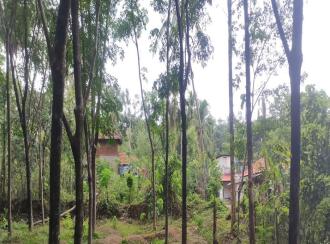 Residential Land for Sale in Palakkad, Cherpulassery, Sreekrishnapuram, Kattukulam Kattukulam Higher Secondary Schoel