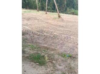Residential Land for Sale in Alleppey, Cherthala, Perumbalam, Near Sasthankal Boat Jetty