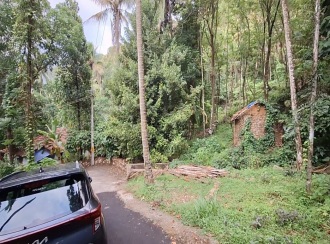 Agricultural Land for Sale in Kozhikode, Koodaranji, Koodaranji, perumpoola