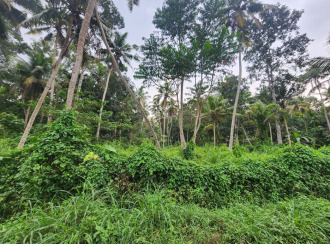 Commercial Land, Trivandrum