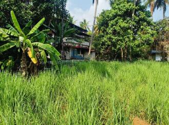 Residential Land for SaleKannur, Puthiyatheru, Puthiyatheru