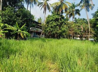 Residential Land for Sale in Kannur, Puthiyatheru, Puthiyatheru, Panamkavu Kulam Road(it is only 150 meters along this road from the main road)