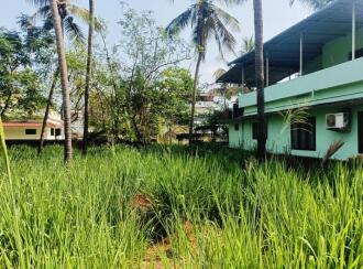 Residential Land for Sale in Kannur, Puthiyatheru, Puthiyatheru, Panamkavu Kulam Road(it is only 150 meters along this road from the main road)