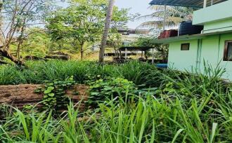 Residential Land for Sale in Kannur, Puthiyatheru, Puthiyatheru, Panamkavu Kulam Road(it is only 150 meters along this road from the main road)