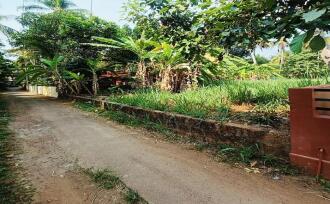 Residential Land for Sale in Kannur, Puthiyatheru, Puthiyatheru, Panamkavu Kulam Road(it is only 150 meters along this road from the main road)