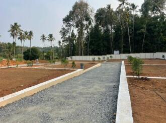 Residential Land for Sale in Ernakulam, Angamaly, Karukutty