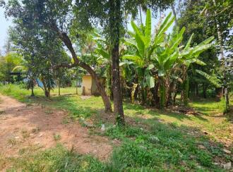 Residential Land for Sale in Ernakulam, Aluva, Kadungalloor, Chattukulam Residence Association