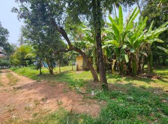 Residential Land for Sale in Ernakulam, Aluva, Kadungalloor, Chattukulam Residence Association