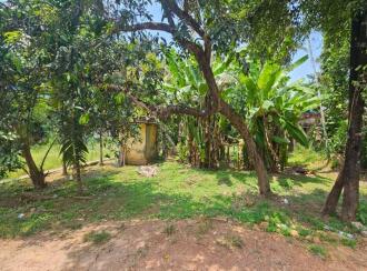 Residential Land for Sale in Ernakulam, Aluva, Kadungalloor, Chattukulam Residence Association