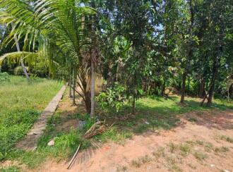Residential Land for Sale in Ernakulam, Aluva, Kadungalloor, Chattukulam Residence Association
