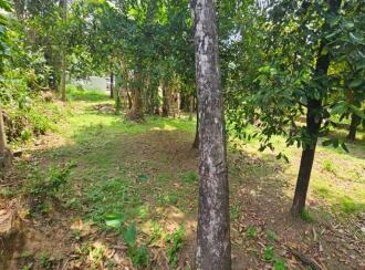 Residential Land for Sale in Ernakulam, Aluva, Kadungalloor, Chattukulam Residence Association
