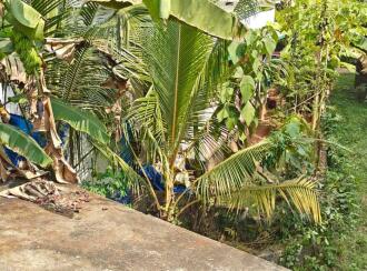 Residential Land for Sale in Kozhikode, Feroke , Ramanattukara, Bye - pass