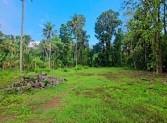 Commercial Land, Pathanamthitta