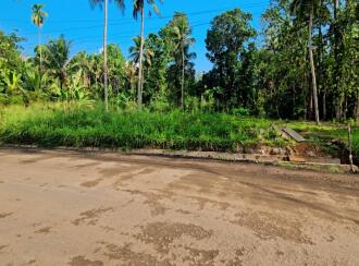 Commercial Land for Sale in Pathanamthitta, Konni, Konni, near to Muringamangalam Temple