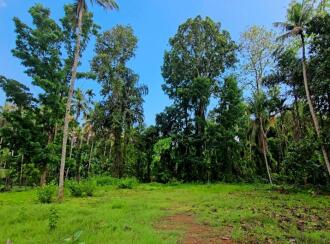 Commercial Land for Sale in Pathanamthitta, Konni, Konni, near to Muringamangalam Temple