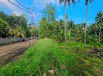 Commercial Land for Sale in Pathanamthitta, Konni, Konni, near to Muringamangalam Temple