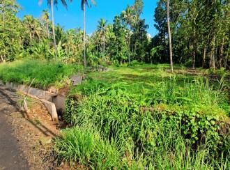 Commercial Land for Sale in Pathanamthitta, Konni, Konni, near to Muringamangalam Temple