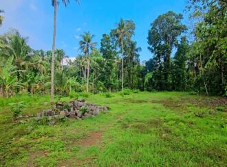 Commercial Land for Sale in Pathanamthitta, Konni, Konni, near to Muringamangalam Temple