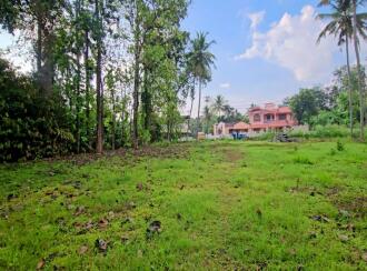 Commercial Land for Sale in Pathanamthitta, Konni, Konni, near to Muringamangalam Temple