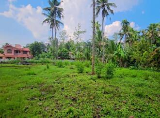 Commercial Land for Sale in Pathanamthitta, Konni, Konni, near to Muringamangalam Temple