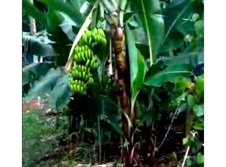 Residential Land for Sale in Palakkad, Alathur, Kizhakkencheri, Palakkuzhi Grama Panchayat