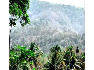 Residential Land for Sale in Palakkad, Alathur, Kizhakkencheri, Palakkuzhi Grama Panchayat