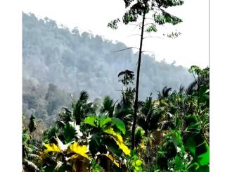 Residential Land for Sale in Palakkad, Alathur, Kizhakkencheri, Palakkuzhi Grama Panchayat