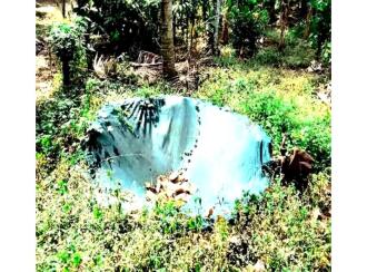 Residential Land for Sale in Palakkad, Alathur, Kizhakkencheri, Palakkuzhi Grama Panchayat