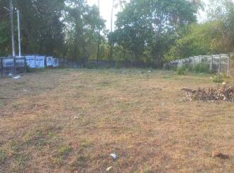 Residential Land for Sale in Thrissur, Thrissur, Avinissery