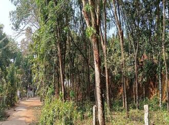 Residential Land for Sale in Pathanamthitta, Pandalam, Kurampala, Near Amrutha vidyalayam school