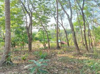 Residential Land for Sale in Pathanamthitta, Pandalam, Kurampala, Near Amrutha vidyalayam school