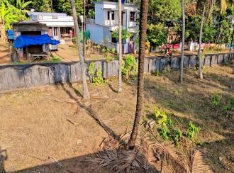 Residential Land for Sale in Alleppey, Mavelikara, Charummood, Vallikkunnam