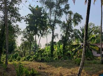 Residential Land for Sale in Alleppey, Mavelikara, Charummood, Vallikkunnam