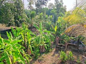 Residential Land for Sale in Alleppey, Mavelikara, Charummood, Vallikkunnam